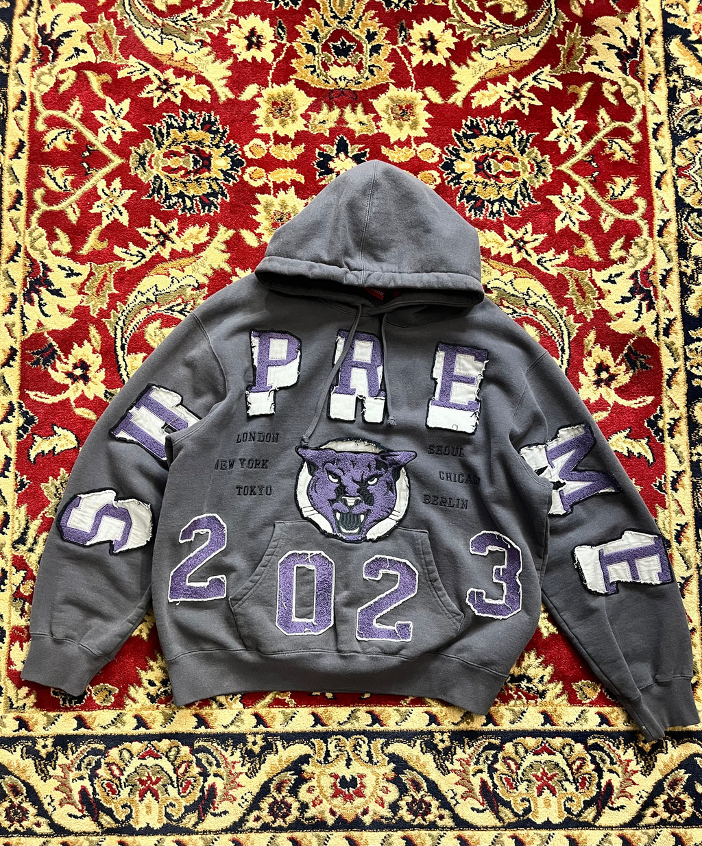 Supreme Washed Panther Hooded Sweatshirt (Washed Black